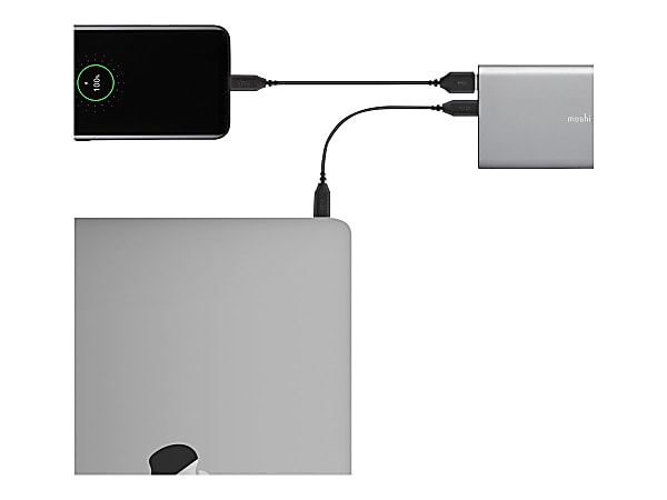 Moshi IonSlim 10k - Power bank - 10000 mAh - 35 Watt - 2 output connectors (USB, 24 pin USB-C) - on cable: USB-C - titanium gray