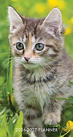 2026-2027 Willow Creek Press 2-Year Monthly Checkbook/Calendar, 3-1/2" x 6-1/2", Cute as A Kitten, January 2026 To December 2027, 56530