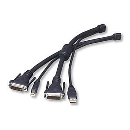 Belkin® OmniView® USB/DVI KVM Cables With Audio, 10'