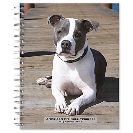 2023-2024 BrownTrout 16-Month Weekly/Monthly Engagement Planner, 7-3/4" x 7-3/16", American Pit Bull Terriers, September To December