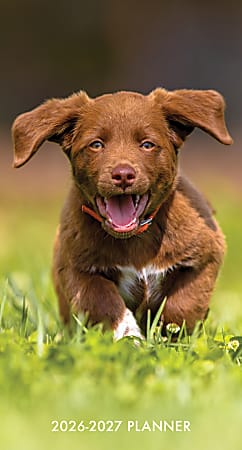 2026-2027 Willow Creek Press 2-Year Monthly Checkbook/Calendar, 3-1/2" x 6-1/2", Puppy Love, January 2026 To December 2027, 56622