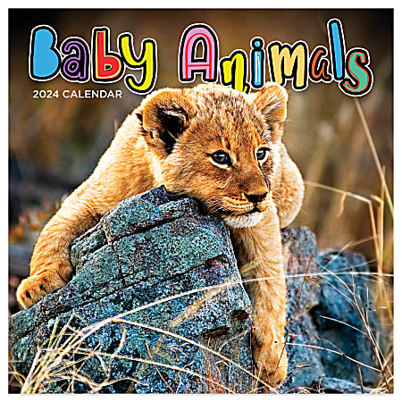 2024 TF Publishing Animals Monthly Mini Wall Calendar, 7” x 7”, Baby Animals, January To December