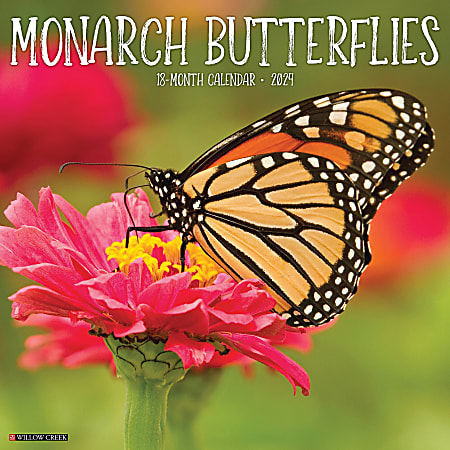 2024 Willow Creek Press Animals Monthly Wall Calendar, 12" x 12", Monarch Butterfies, January To December
