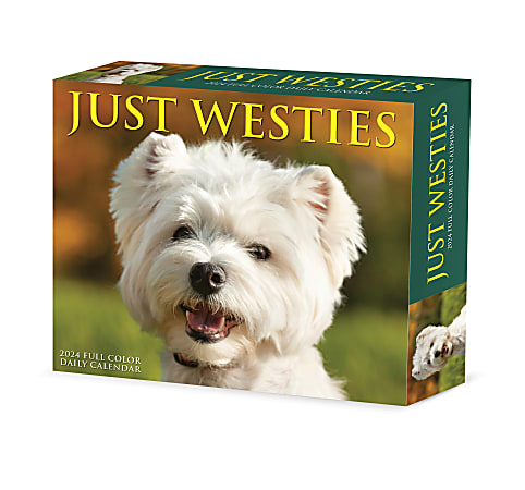 2024 Willow Creek Press Page-A-Day Daily Desk Calendar, 5" x 6", Westies, January To December