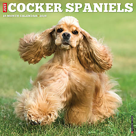 2026 Willow Creek Press Animals Monthly Wall Calendar, 12" x 12", Cocker Spaniels, January To December, 50781