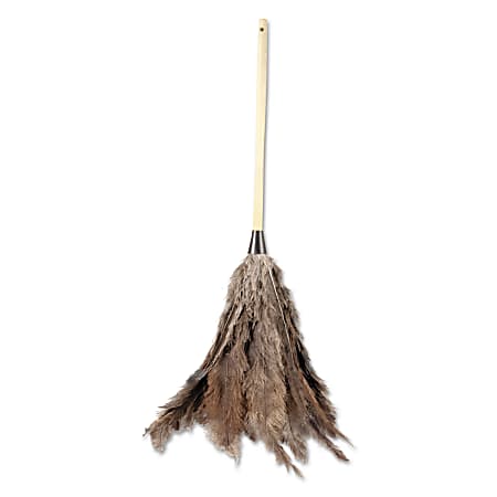 Boardwalk® Professional Ostrich Feather Duster, Gray