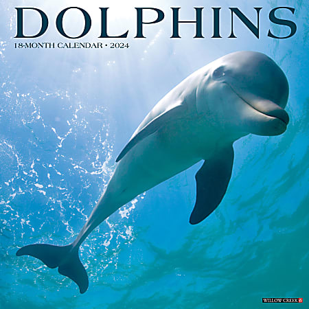 2024 Willow Creek Press Animals Monthly Wall Calendar, 12" x 12", Dolphins, January To December