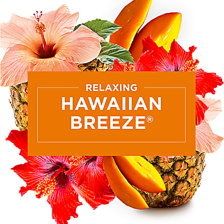 Glade® PlugIns® Hawaiian Breeze™ Scented Oil Air Freshener Refills, 2 ct /  0.67 fl oz - City Market