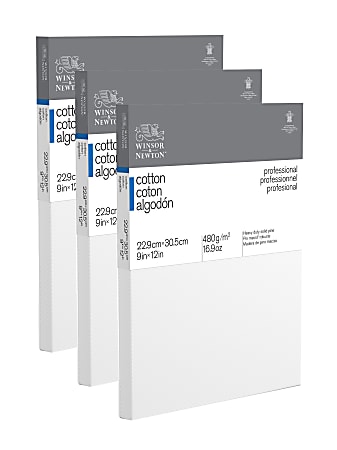 Winsor & Newton Professional Cotton-Stretched Traditional Canvases, 12" x 9", White, Pack Of 3