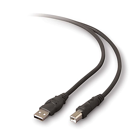 Belkin® Pro Series USB 2.0 Device Cable, A/B, 10'