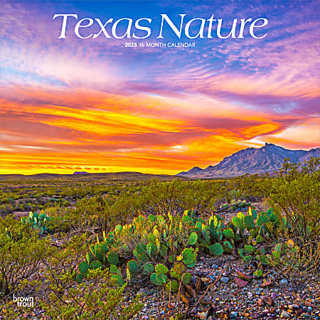 2025 BrownTrout Texas Nature Monthly Plastic-Free Square Wall Calendar, 12" x 12", American States, January to December 2025, 9781975475772