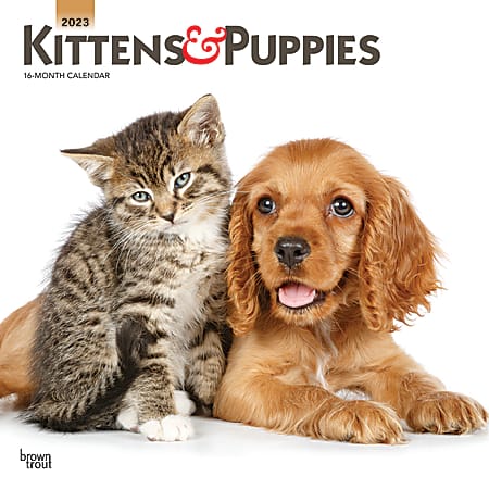 Brown Trout Animals Monthly Wall Calendar, 12" x 12", Kittens & Puppies, January To December 2023