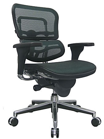Raynor® Ergohuman Mid-Back Mesh Chair, 45 1/2"H x 26 1/2"W, Chrome Frame, Green Mesh Fabric