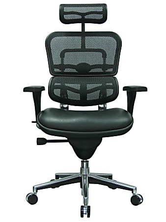 Raynor eurotech ergohuman online