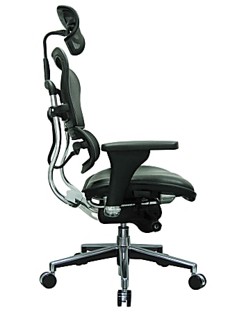 Chair ergohuman best sale