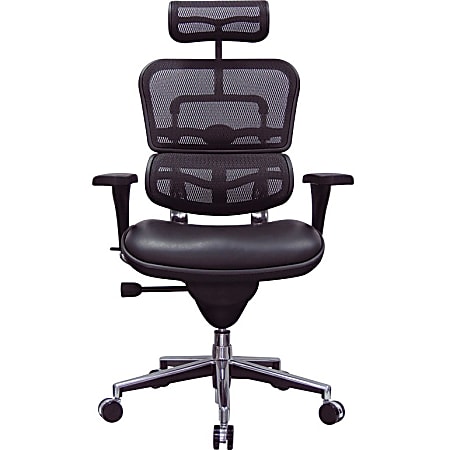 Raynor eurotech hotsell ergohuman
