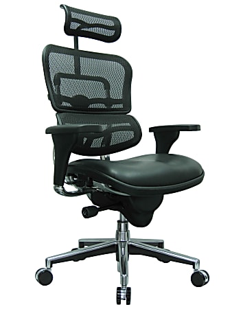 Raynor® Eurotech Ergohuman Ergonomic Bonded Leather/Mesh High-Back Chair, Black/Chrome