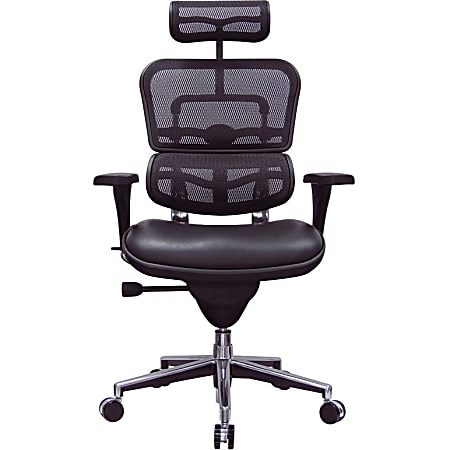 Eurotech Ergohuman Mid-Back Mesh-Leather Chair, Black-Chrome