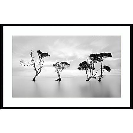 Amanti Art Waving Trees by Steven Fudge Wood Framed Wall Art Print, 41”W x 27”H, Black
