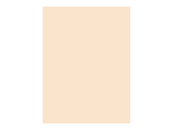 Pacon® Tag Board, 9" x 12", 105 Lb, Manila, Pack Of 100