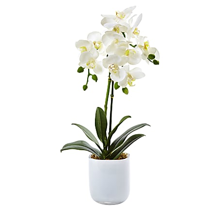 Nearly Natural Phalaenopsis Orchid 18-1/2”H Plastic Floral Arrangement With Frosted Glass Vase, 18-1/2”H x 8”W x 5”D, White
