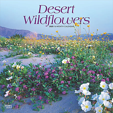 2025 BrownTrout Desert Wildflowers Monthly Plastic-Free Square Wall Calendar, 12" x 12", America Regional, January to December 2025, 9781975476014