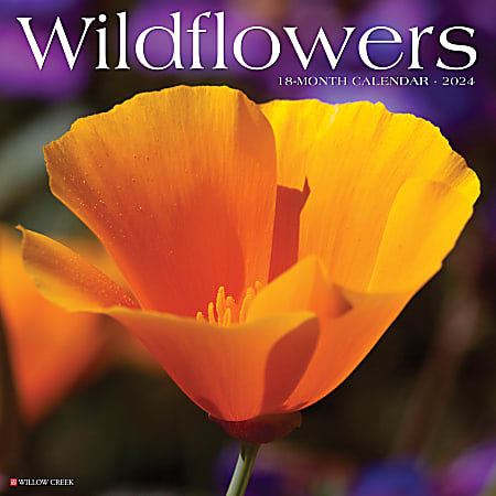 2024 Willow Creek Press Scenic Monthly Wall Calendar, 12" x 12", Wildflowers, January To December