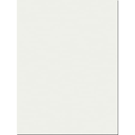 SunWorks Construction Paper - 24" x 18" - 50 / Pack - White