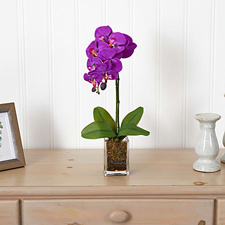 Nearly Natural Phalaenopsis Orchid in Frosted Glass in White