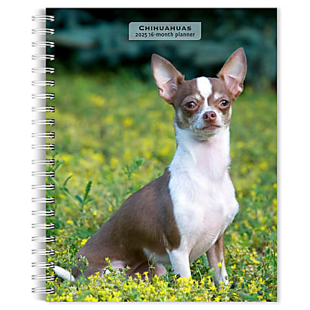 2025 BrownTrout Chihuahuas Weekly Spiral-Bound Wire-O Engagement Planner Calendar, 6" x 7 3/4"