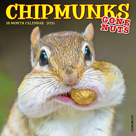 2025 Willow Creek Press Animals Monthly Wall Calendar, 12” x 12”, Chipmunks (Gone Nuts!), January To December, 42335