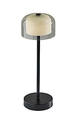 Adesso Benji Cordless LED Indoor/Outdoor Table Lamp, 13-5/8”H, Frosted Shade/Black Base