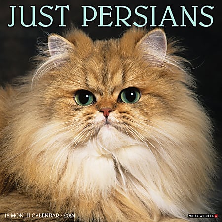 2024 Willow Creek Press Animals Monthly Wall Calendar, 12" x 12", Just Persians, January To December