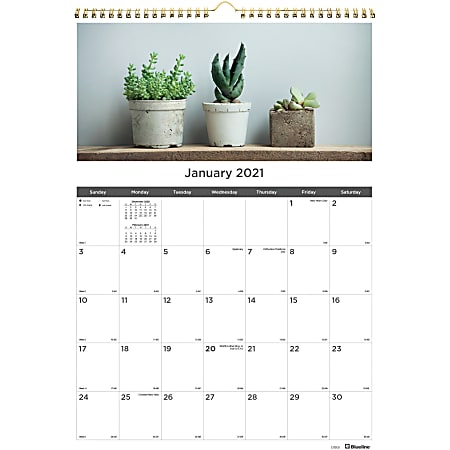 Rediform Succulent Plants Wall Calendar - Monthly - 1 Year - January 2021 till December 2021 - 1 Month Single Page Layout - Twin Wire - Multi - Chipboard - 17" Height x 12" Width