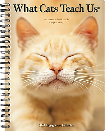 2024 Willow Creek Press Weekly Engagement Planner, 6-1/2" x 8-1/2", What Cats Teach Us, January To December