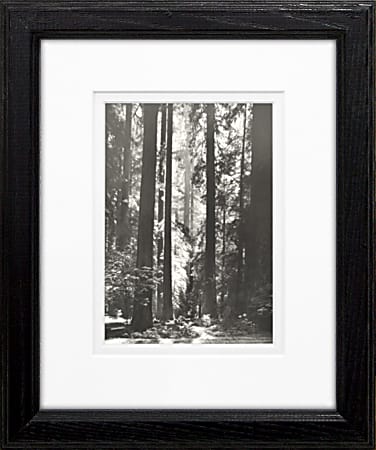 Timeless Frames Supreme Framed Landscape Artwork, 8" x 10", Black, Redwoods Founders Grove
