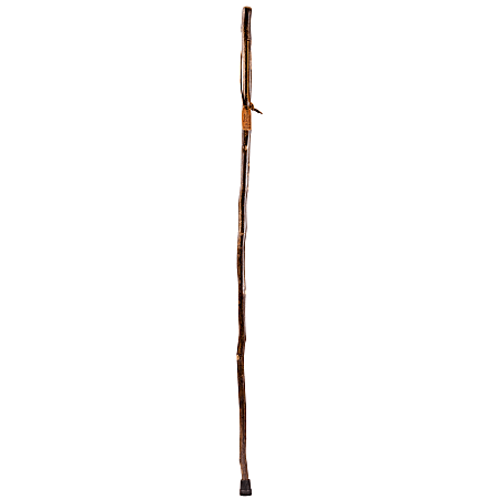 Brazos Walking Sticks™ Free Form Sweet Gum Walking Stick, 55"