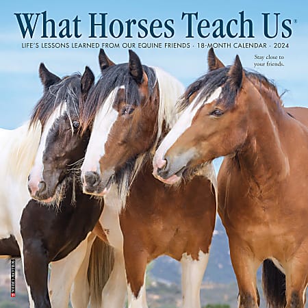 2024 Willow Creek Press Scenic Monthly Mini Wall Calendar, 7” x 7”, What Horses Teach Us, January To December