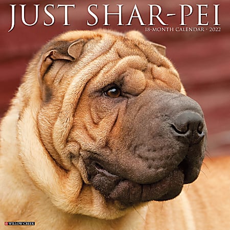 Willow Creek Press Animals Monthly Wall Calendar, 12" x 12", Just Shar-Pei, January to December 2022, 19559