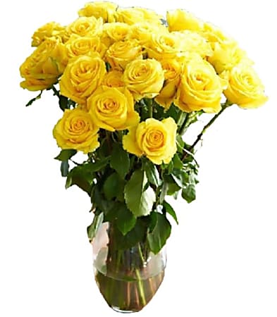 Rose Farmers Yellow Bright Long Stem Roses, Yellow, Box Of 24 Roses