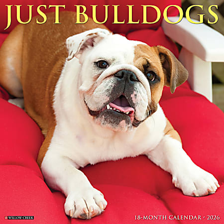 2026 Willow Creek Press Animals Monthly Wall Calendar, 12" x 12", Bulldogs, January To December, 50439