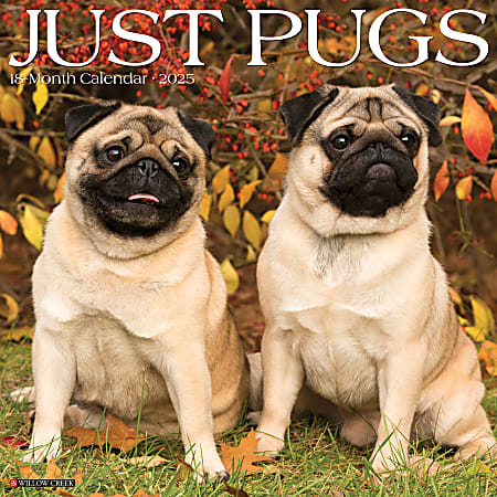 2025 Willow Creek Press Animals Monthly Wall Calendar, 12” x 12”, Pugs, January To December, 44575