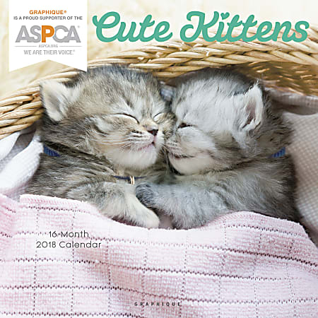 Graphique de France Monthly Wall Calendar, 12" x 12", Cute Kittens, January to December 2018