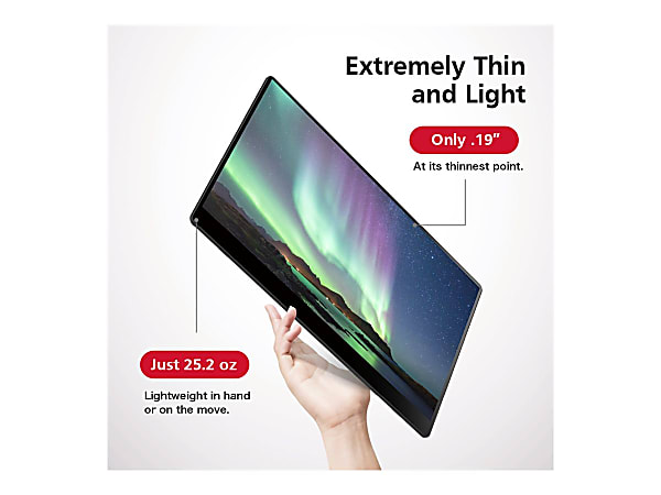 Ricoh 150BW OLED monitor 15.6 portable touchscreen 1920 x
