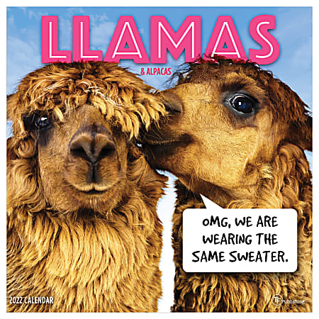 2019 Llamas Wall Calendar Farm Animals by TF Publishing 12"x24" 