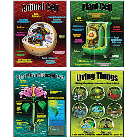 Teacher Created Resources McDonald 5-Piece Life Science Poster Set, 17" x 22"