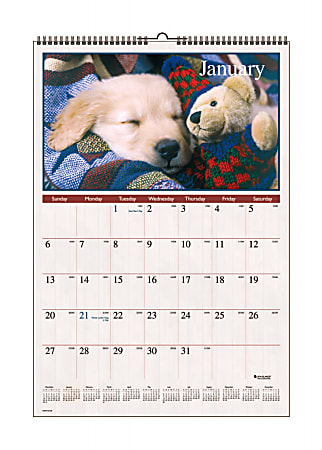 AT-A-GLANCE® Wall Calendar, 15 1/2" x 22 3/4", 30% Recycled, Puppies, January–December 2015