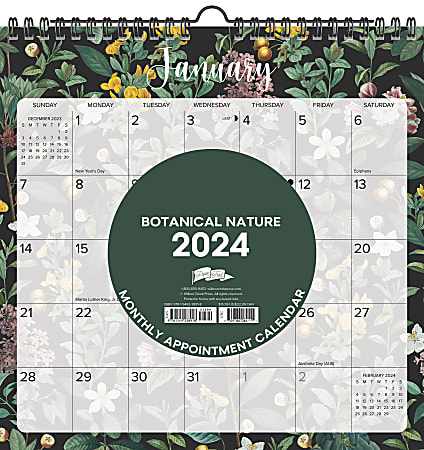 2024 Willow Creek Press Spiral Art Monthly Wall Calendar, 12" x 12", Botanical Nature, January to December