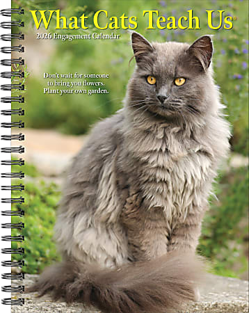 2026 Willow Creek Press Weekly Engagement Calendar, 6-1/2" x 8-1/2", What Cats Teach Us, January To December, 54666