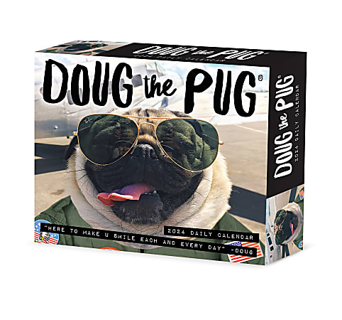 2024 Willow Creek Press Page-A-Day Daily Desk Calendar, 5" x 6", Doug the Pug, January To December